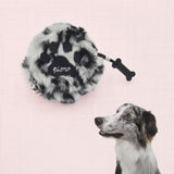 Snow leopard En-charm