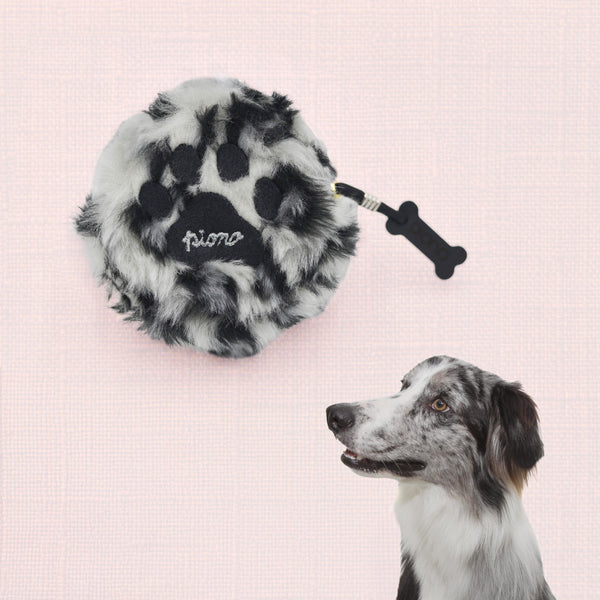 Snow leopard En-charm
