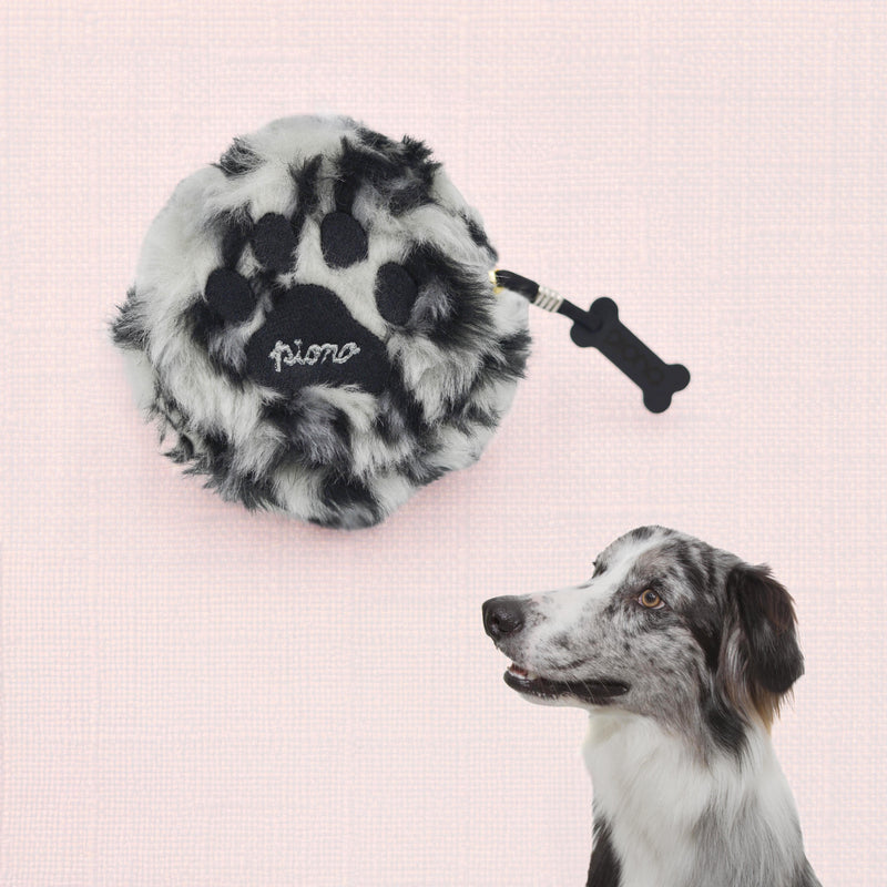 Snow leopard En-charm